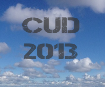 cud-2013-modello-online-pdf-agenzia-delle-entrate.jpg